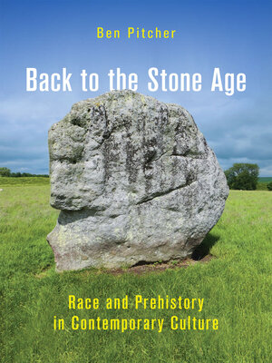cover image of Back to the Stone Age